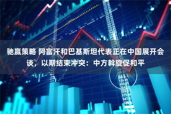 驰赢策略 阿富汗和巴基斯坦代表正在中国展开会谈，以期结束冲突：中方斡旋促和平