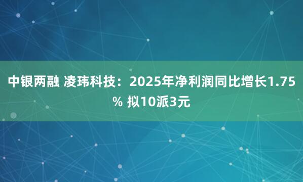 中银两融 凌玮科技:2025年净利润同比增长1.75% 拟10派3元